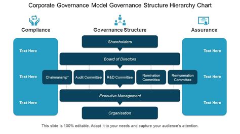 Assignment Guidelines Corporate Strategy Governance And