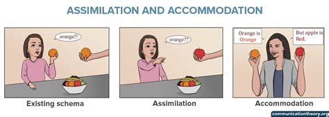 Assimilation And Accommodation