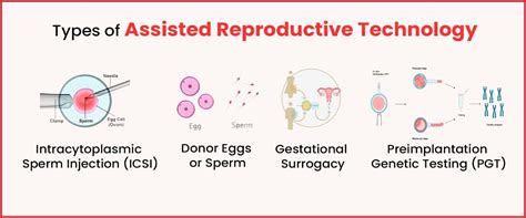 Assisted Reproductive Technology If When How