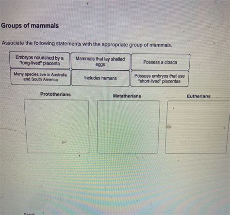 Associate The Following Statements With The Appropriate Group Of Mammals