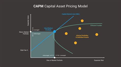 Assumptions Of The Capm