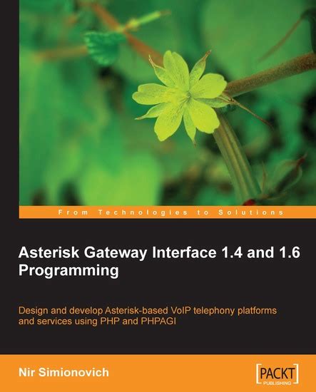 Asterisk Gateway Interface 14 And 16 Programming