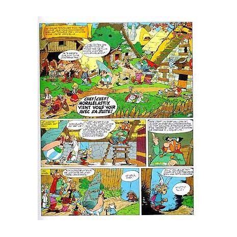 Asterix T13 Asterix Et Le Chaudron