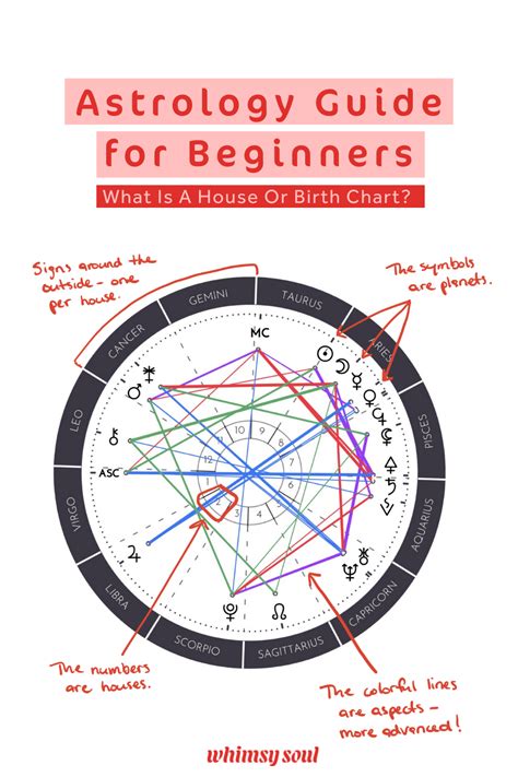 Astrology For Beginners