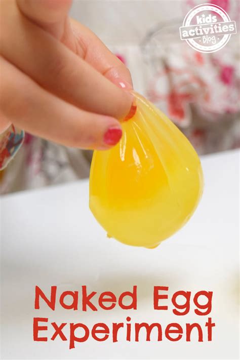At Home Science Naked Egg Experiment Sciencing Science Egg - Science Egg