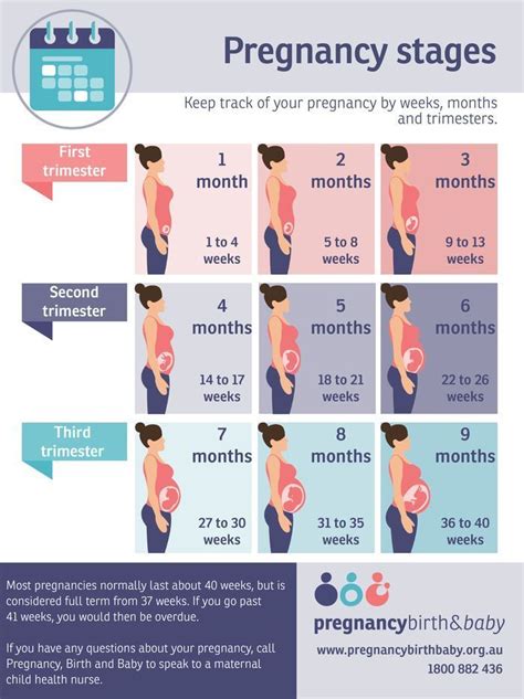 at how many months does a woman give birth