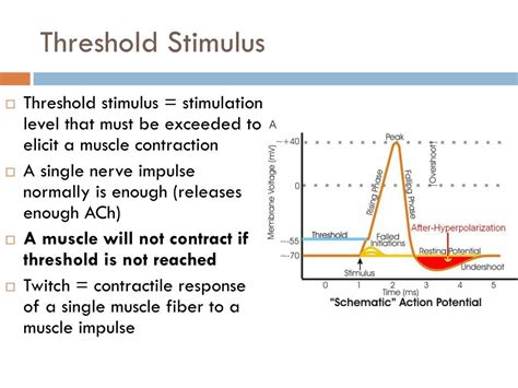 At The Threshold Stimulus Do Sodium Ions