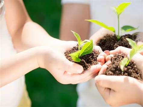 atervinning dack uddevalla