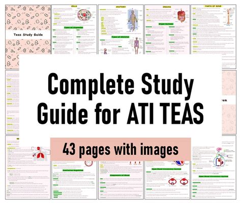 Ati Teas 7 Study Guide
