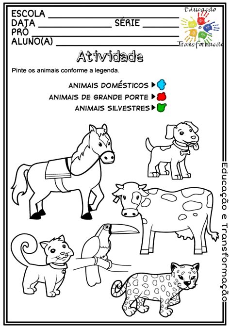 Atividade Dos Animais
