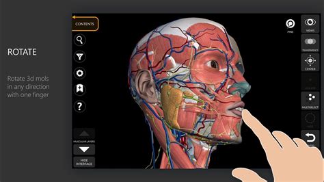 Atlas D Anatomie 3d   Atlas Of Human Anatomy 2024 Body 3d Voka - Atlas D'anatomie 3d