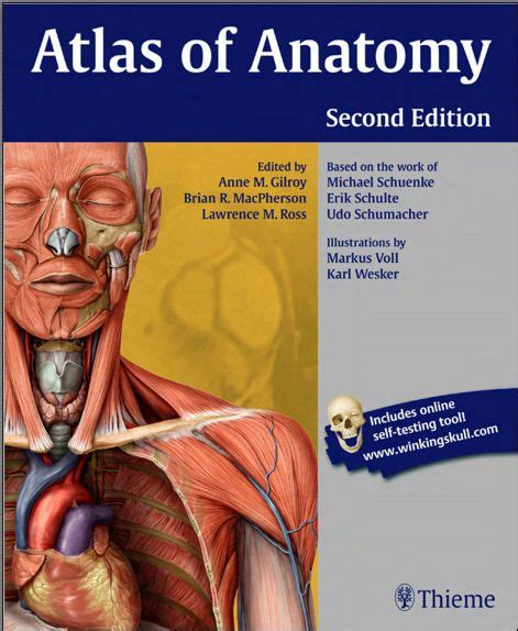 atlas d anatomie gilroy pdf