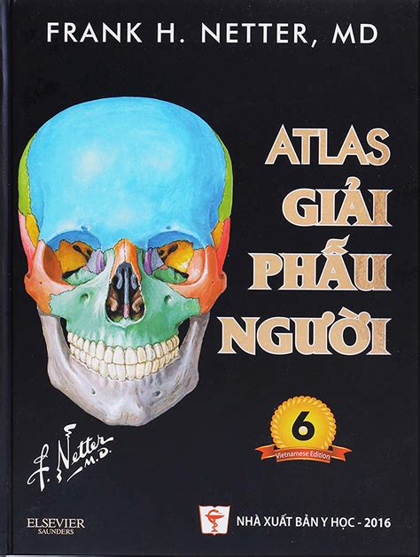 atlas giai phau nguoi netter pdf