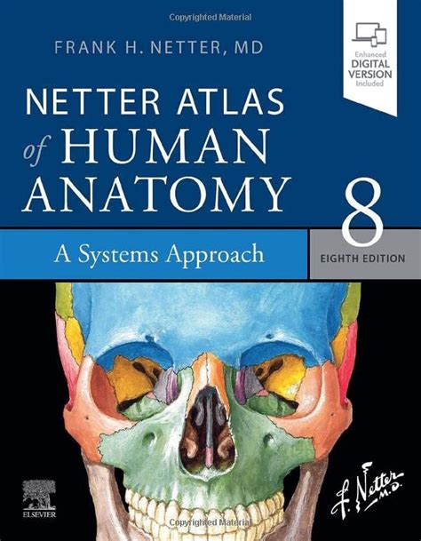 Read Atlas Netter Images Only 