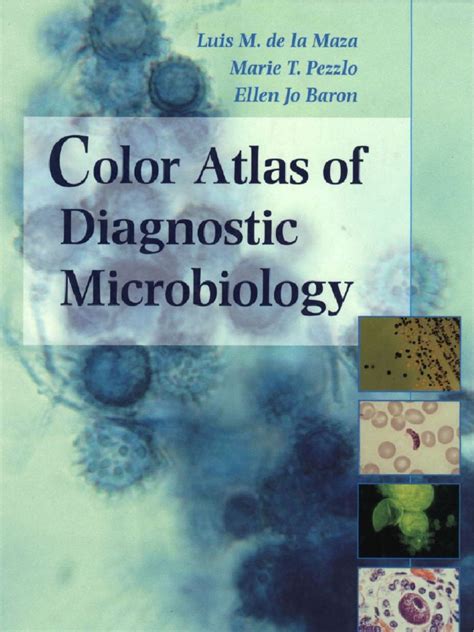 Download Atlas Of Medical Microbiology Common Hum 
