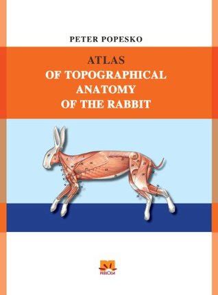 Full Download Atlas Of Topographical Anatomy Of The Rabbit 