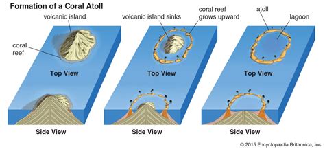 Atoll Formation
