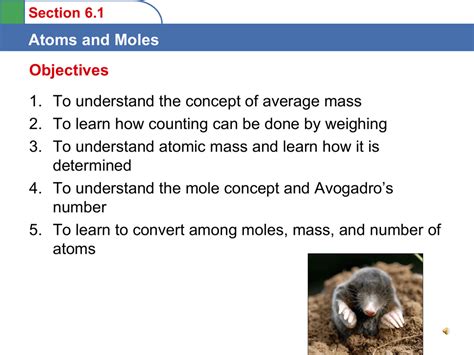 Read Atoms And Moles Chapter Test Bing 