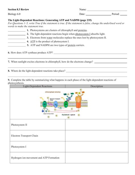 Atp Formation 8 Worksheets Learny Kids Atp Formation Worksheet 8 Answers - Atp Formation Worksheet 8 Answers