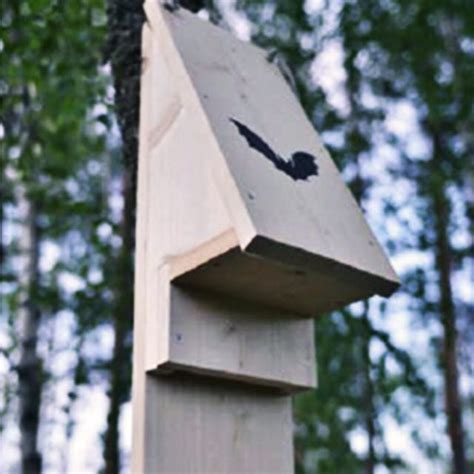 att bygga fladdermusholk