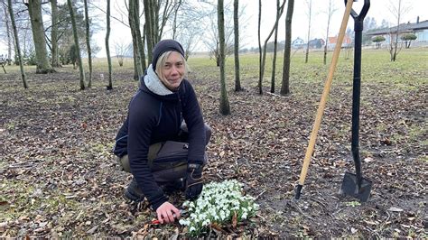 att plantera i april