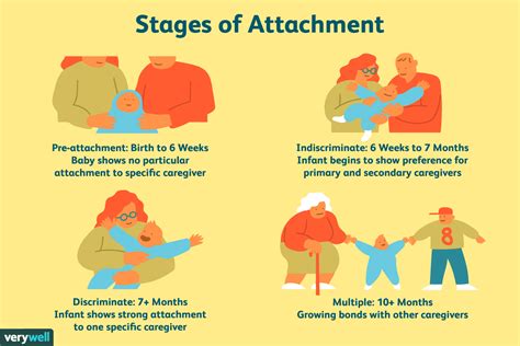 attachment theory in adults