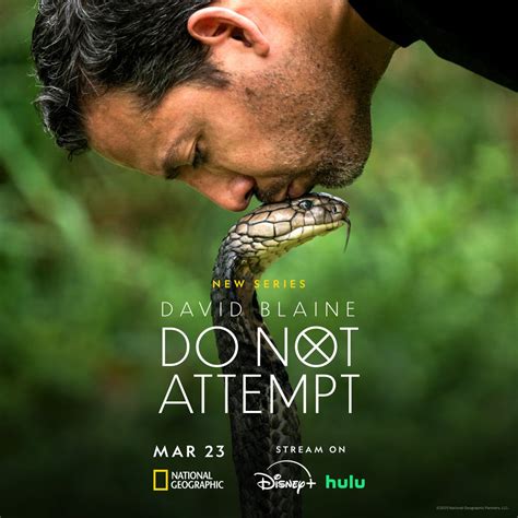 attempt | Attempt azVocab