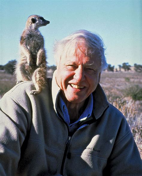 attenborough biography
