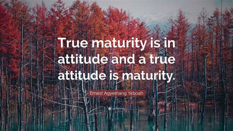 Attitude Maturity Quotes