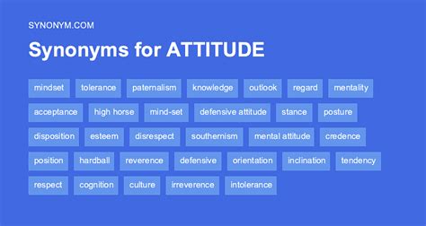 Attitude Synonym