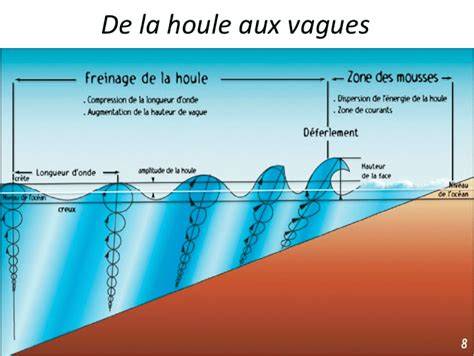 au gra c des vagues surf odyssey