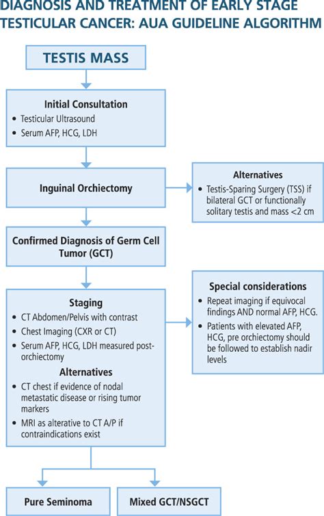 Read Online Aua Guidelines Testicular Cancer 