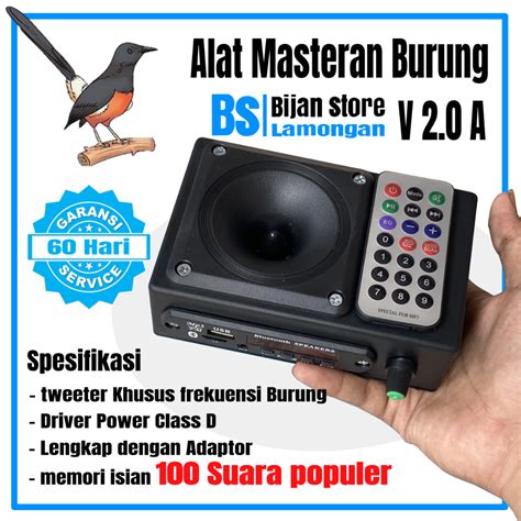 audio burung pelan