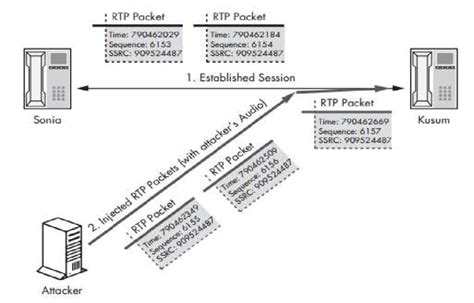 audio injection biography