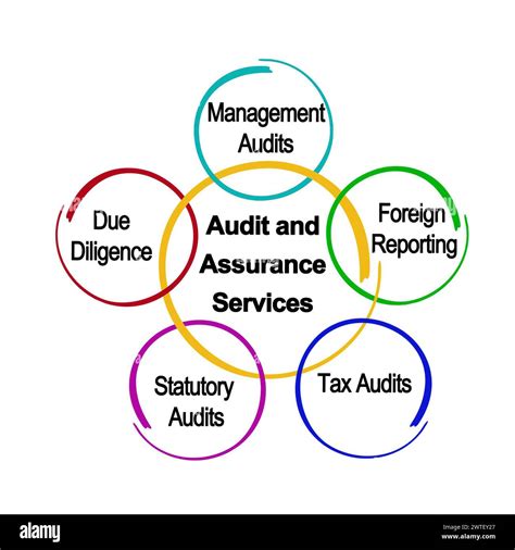 Download Auditing Assurance Services 