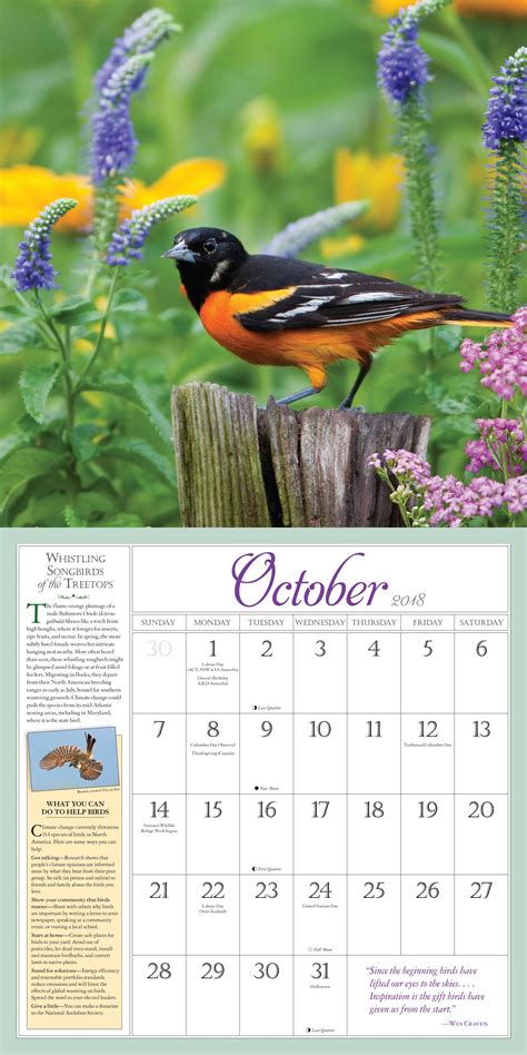 Download Audubon Birds In The Garden Wall Calendar 2018 