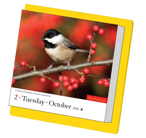 Read Audubon Birds Page A Day Calendar 2018 