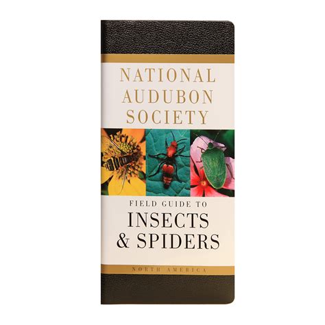 Read Online Audubon Field Guide To Insects 