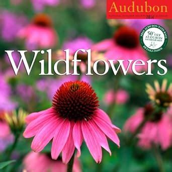 Read Online Audubon Wildflowers Calendar 2014 