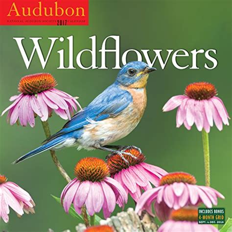 Full Download Audubon Wildflowers Wall Calendar 2017 