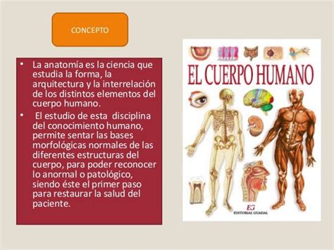 Aula Virtual Anatomía