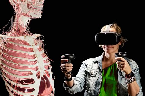 Aula Virtual Anatomia