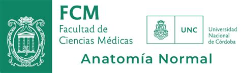 Aula Virtual Fcm Unc