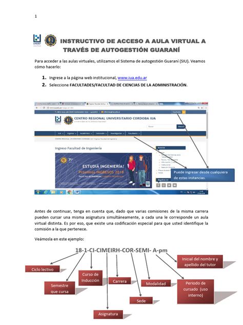 Aula Virtual Iua