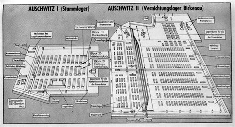 Auschwitz Layout