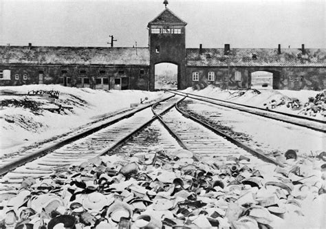 Full Download Ausciuviz Auschwitz 