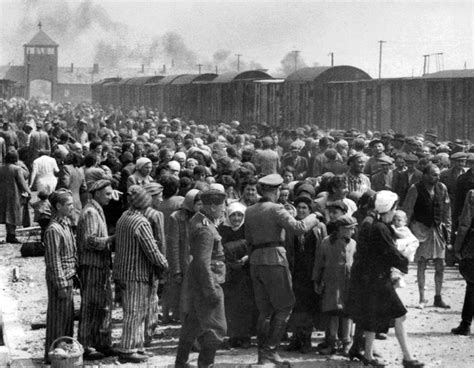 aushwitz biography