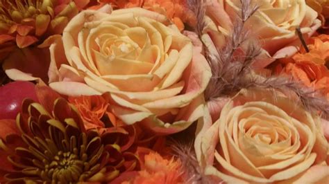 Instagram post by Bonnie Gorczany #1