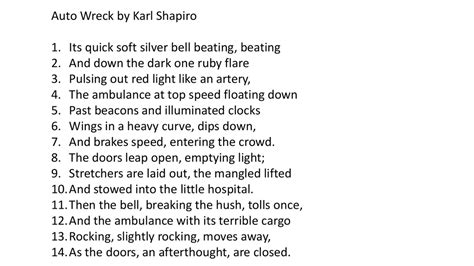 Auto Wreck Poem Analysis