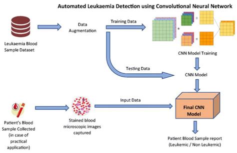 Full Download Automated Blood Cancer Detection Using Image Processing 